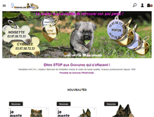 Tablet Screenshot of chien-medaille.com